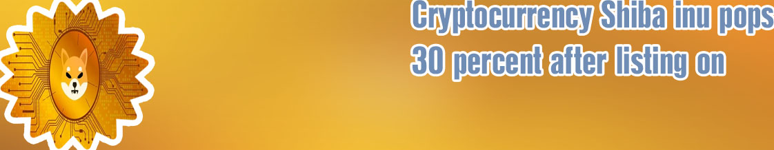 Shiba inu cryptocurrency