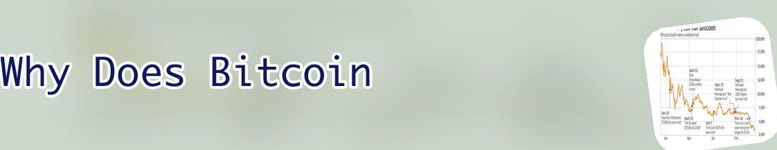 Why does bitcoin have value